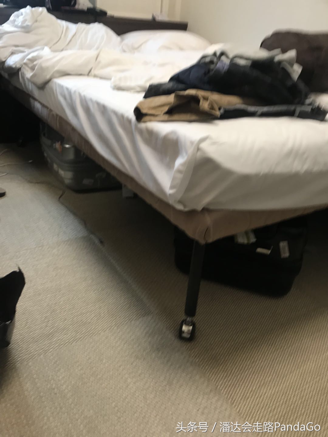 魔都美亚代购,魔都流水账原版