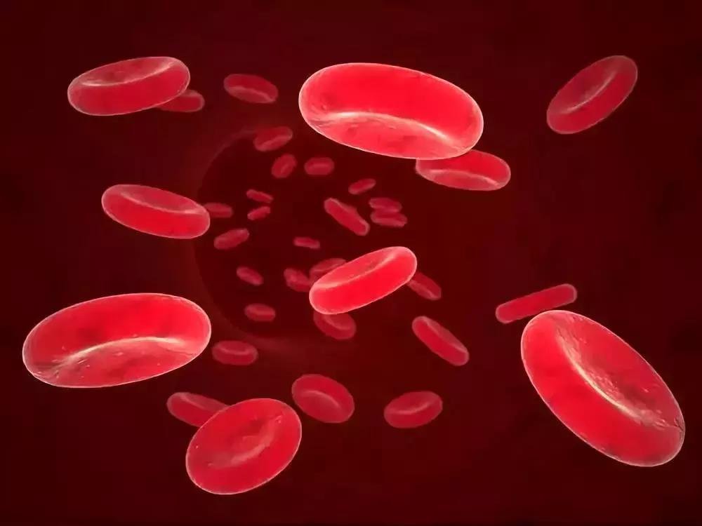 狂犬病发作3个阶段，6天内死亡和狂犬病人爱爱会被传染吗