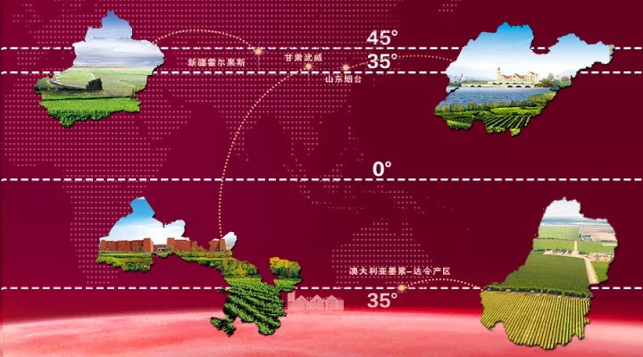 净利率逐年增长原因,净利润节节攀升的上市公司