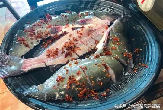 吃鱼火锅一口就能暴击你的味蕾,大连美食推荐必吃火锅