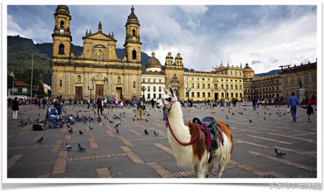 公益、毒枭、足球、电影——“老伴旅”分享“壮游者”四个好故事