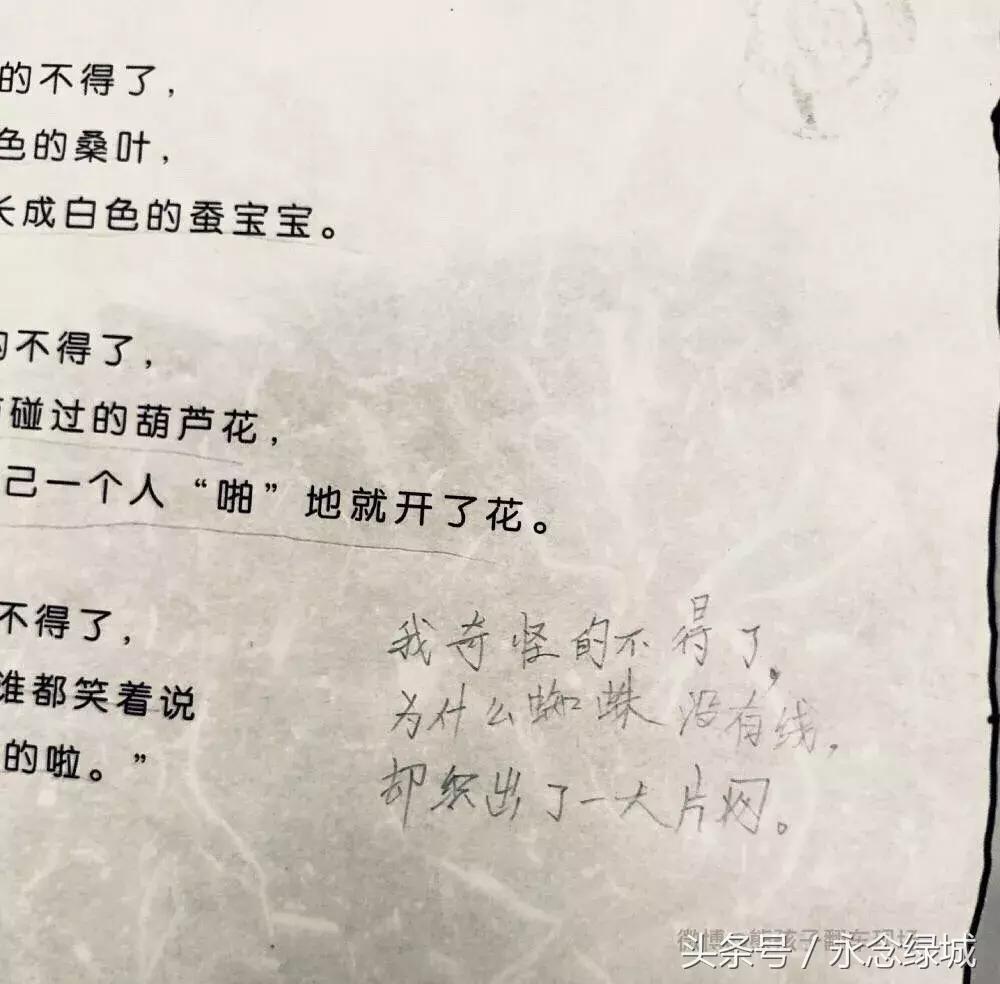 熊孩子脑洞大开文案怎么写,熊孩子令人哭笑不得文案