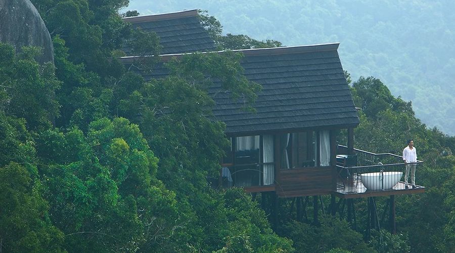 三亚鸟巢森林树屋酒店视频,三亚鸟巢度假村酒店攻略