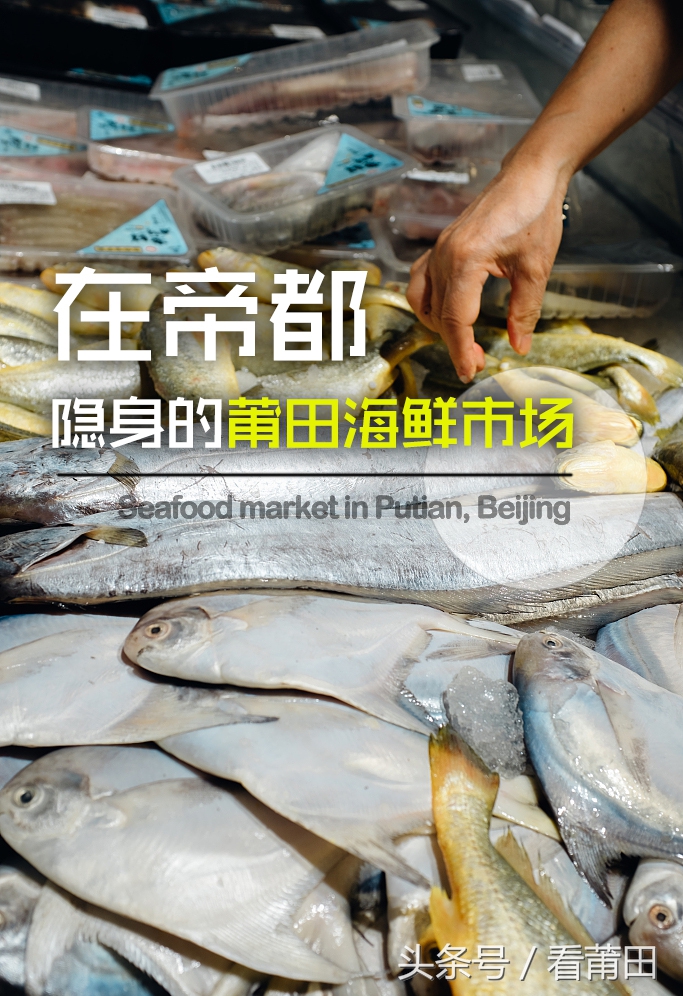 莆田海鲜市场推荐,莆田平海海鲜市场