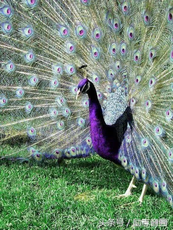 综合知识78集，赶紧保存，早晚用得上！