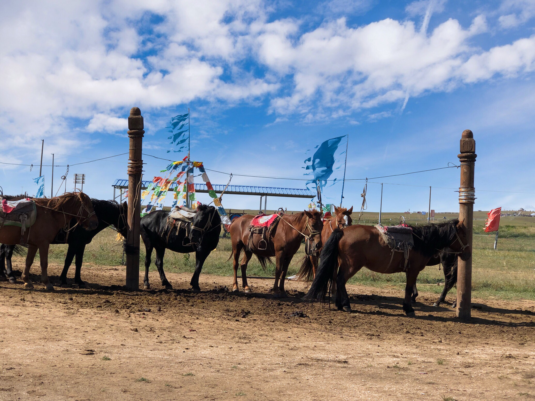 内蒙希拉穆仁草原好玩,包头希拉穆仁草原风景