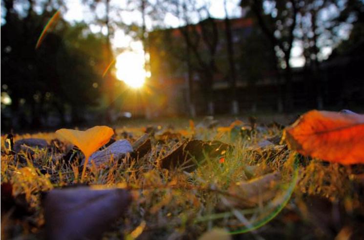 结婚后老公总是对自己发脾气,老公脾气不好婚后怎么办