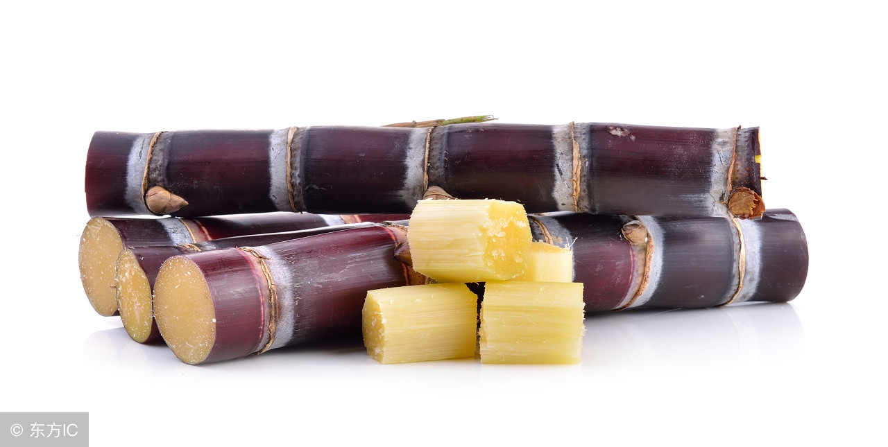 十种食物让女人聪明又漂亮,推荐造血食物