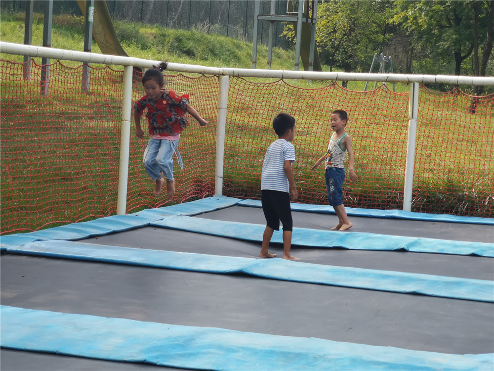 乐嘉如何了解孩子的性格,乐嘉性格色彩判断孩子性格