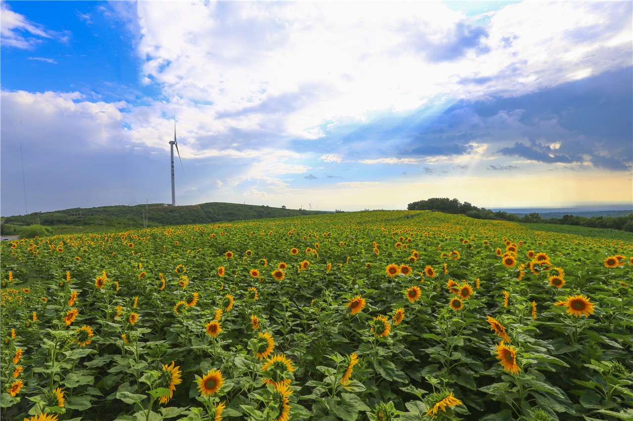 黄龙最新旅游攻略,黄龙一月旅游攻略图