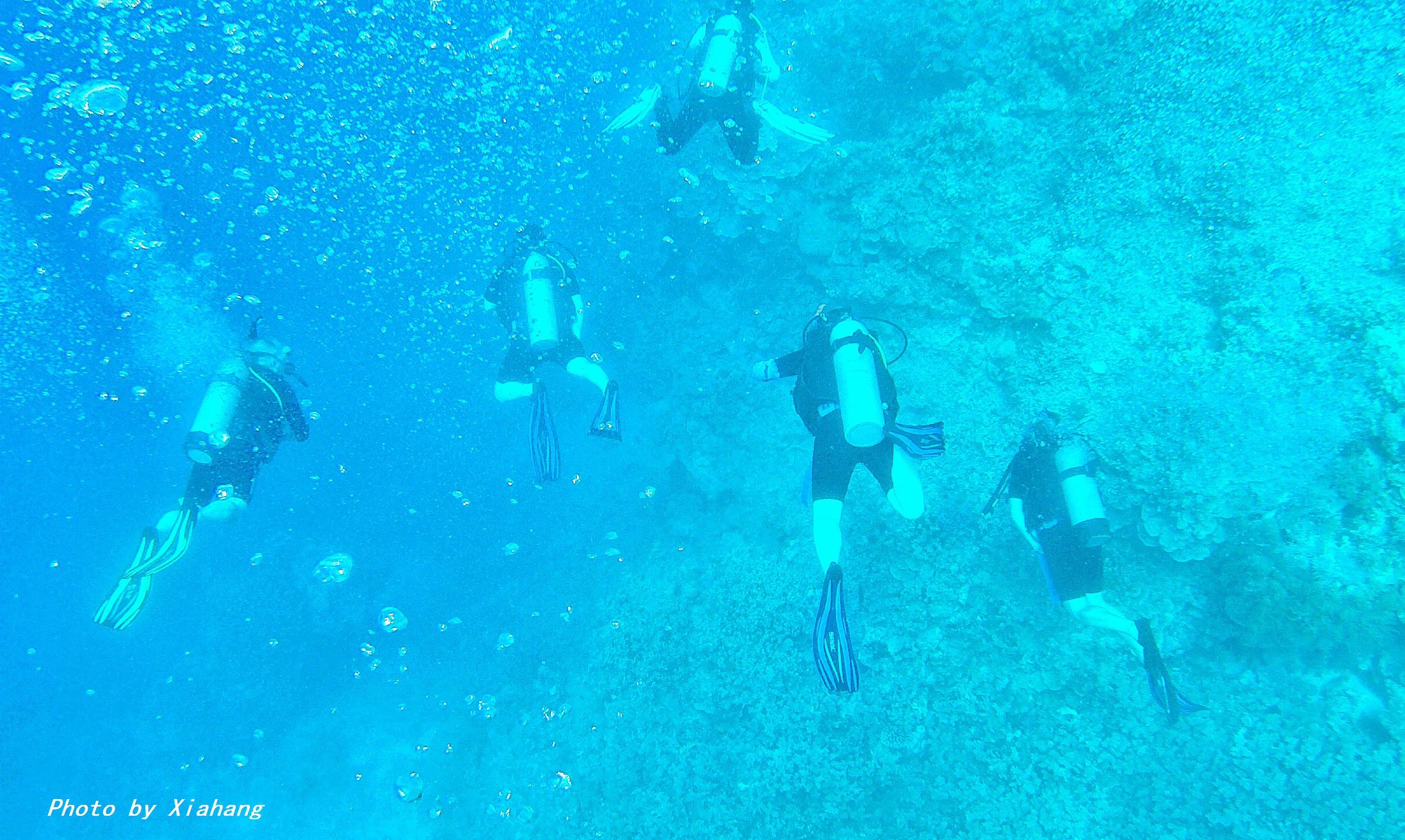 澳大利亚凯恩斯大堡礁旅游,澳大利亚凯恩斯大堡礁旅行vlog