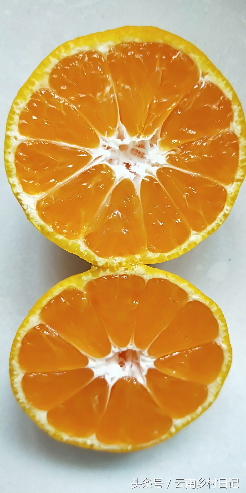 6个小时卖26万斤，“励志橙”背后的故事，王石潘石屹都为它宣传