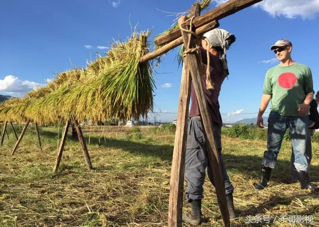 涓嶆墦宸ヤ笉涓婄彮灏辫兘涔版埧,涓嶆墦宸ヤ笉涔版埧鏃朵唬