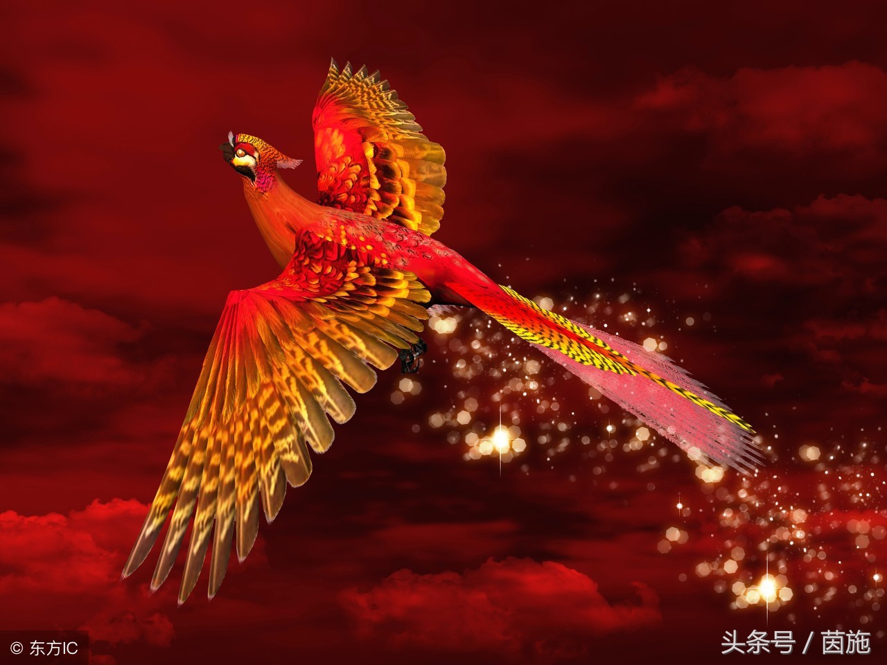 锦鲤转发有好运的图,转发锦鲤什么意思