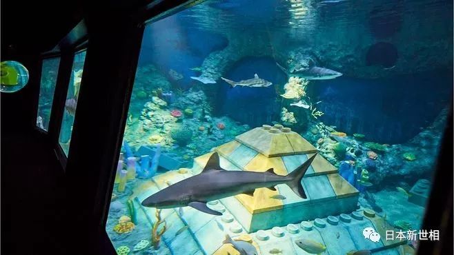 名古屋新开的乐高乐园,名古屋乐高乐园一天够玩吗