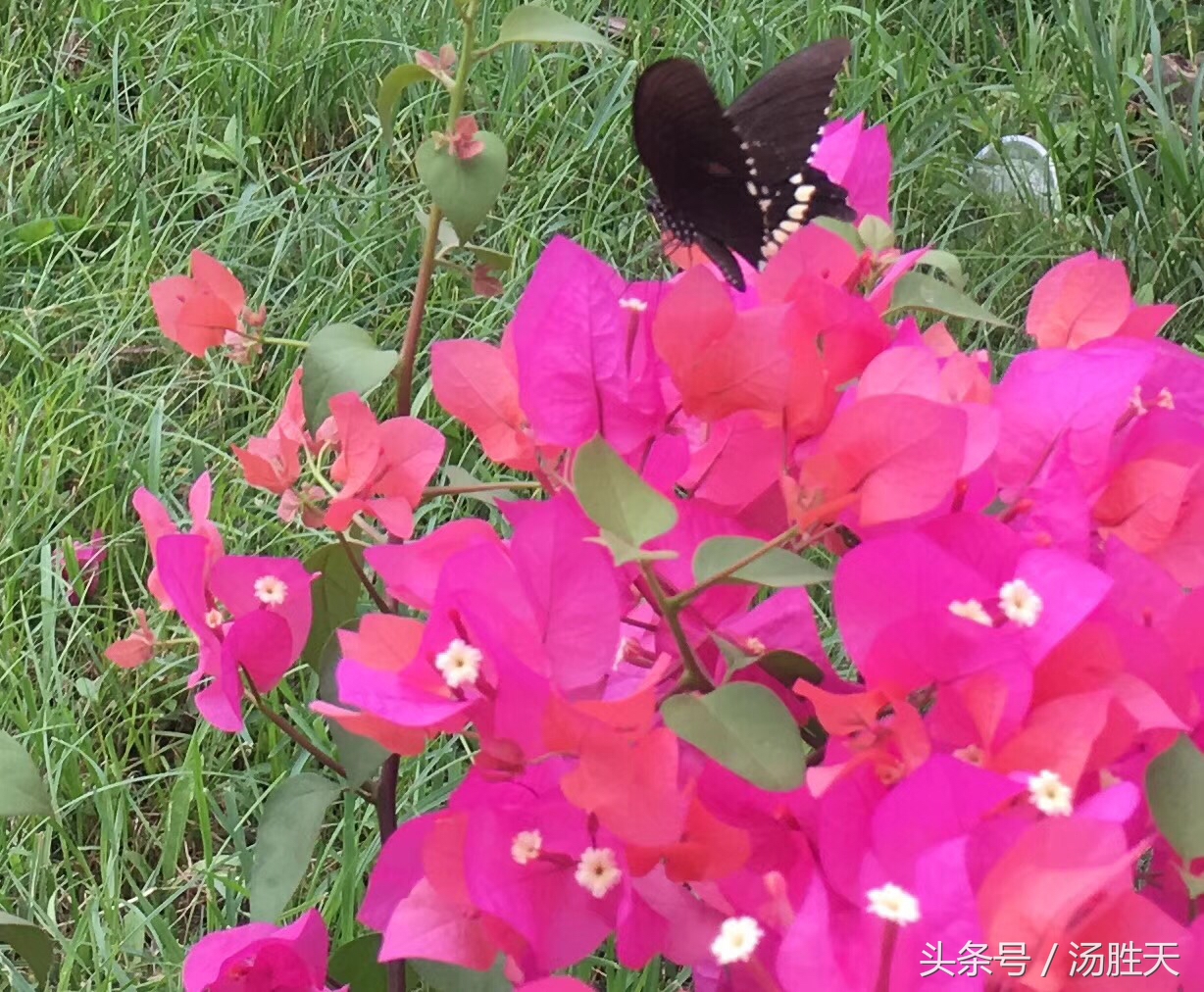 格物与齐物,格物正解通俗讲解