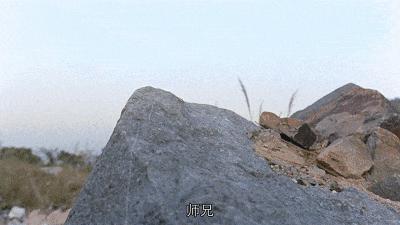 东方不败封神一战,封神之作原版