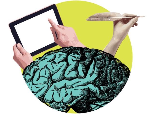 细数人体十大设计缺陷：乱成一团的大脑、磨人的智齿