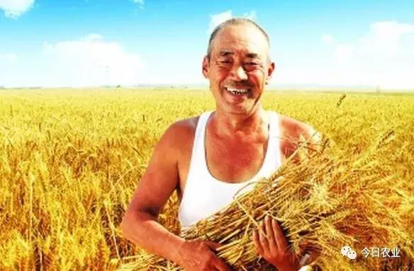 农村改革开放40年的经历,40年改革开放农村巨大变化征文