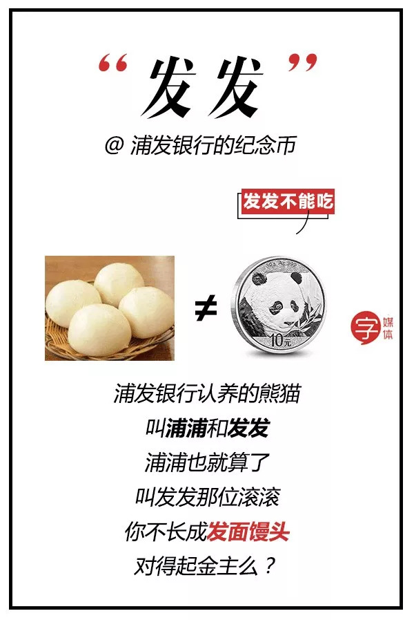 每一只可爱滚滚的背后,都有一群起名字不靠谱的人!