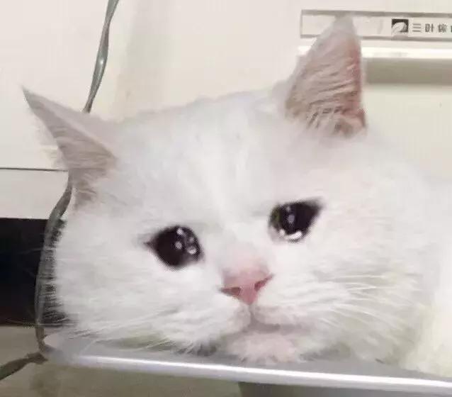 入秋护肤品推荐大牌,入秋用哪款补水护肤品好