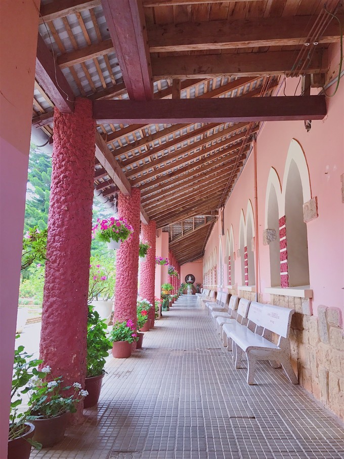 越南由南到北旅游方式,5000元越南8天7晚旅行全攻略