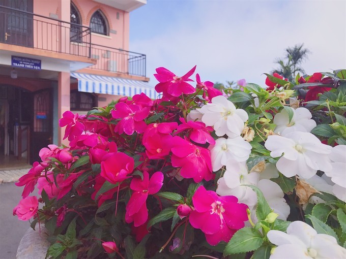 越南由南到北旅游方式,5000元越南8天7晚旅行全攻略