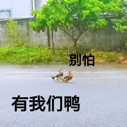 雨天车辆被淹怎么办？这三步一定要知道！