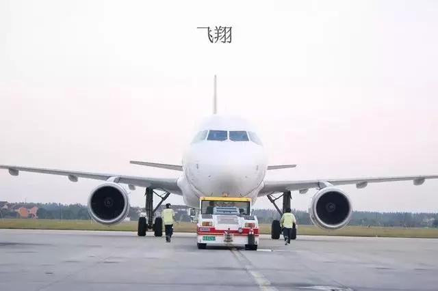 带小宝宝坐飞机的全部流程,坐飞机的流程和注意事项