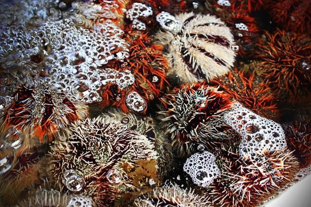 三亚火车头万人海鲜广场在哪个区,三亚火车头海鲜广场属于三亚湾吗