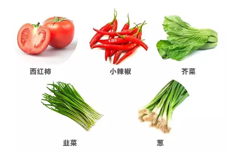 打造小菜园怎么种菜好看,自制阳台立体小菜园