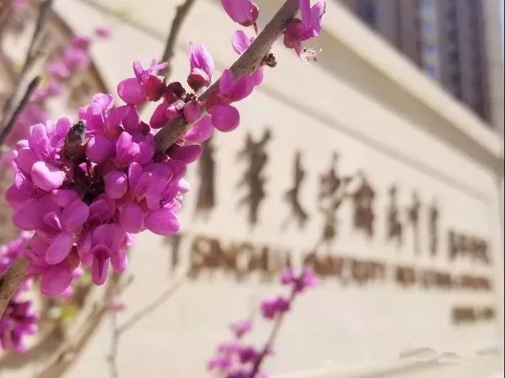 清华附小昌平学校悦府校区东小口,清华附中昌平悦府四年级4班