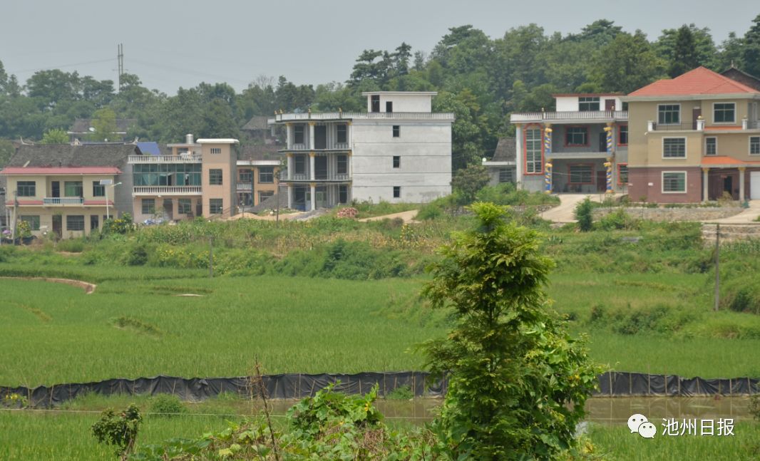 建房不小心买到劣质砖,红砖质量差一捏就碎