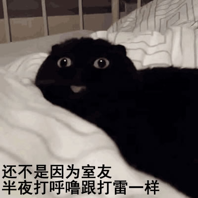 军训才知道的好物推荐,军训好物推荐测评