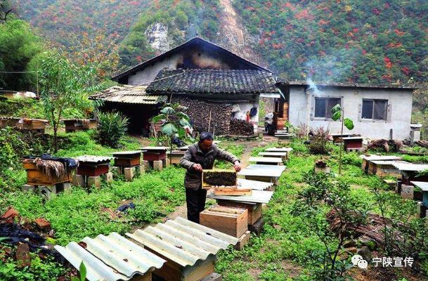 秦岭小城宁陕,宁陕百佳深呼吸小城市