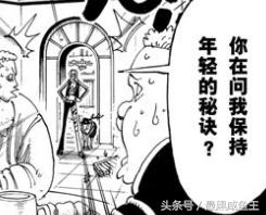 海贼王0-200剧情,海贼王的100个细节