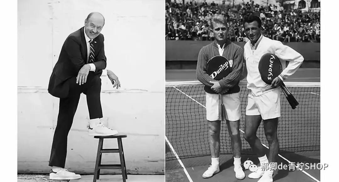 为什么绿尾少,绿尾是什么