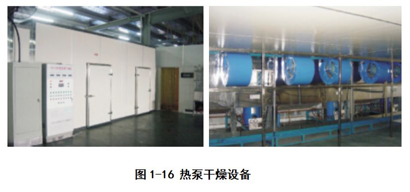 果蔬热风干燥过程,果蔬干制技术应用与研究进展