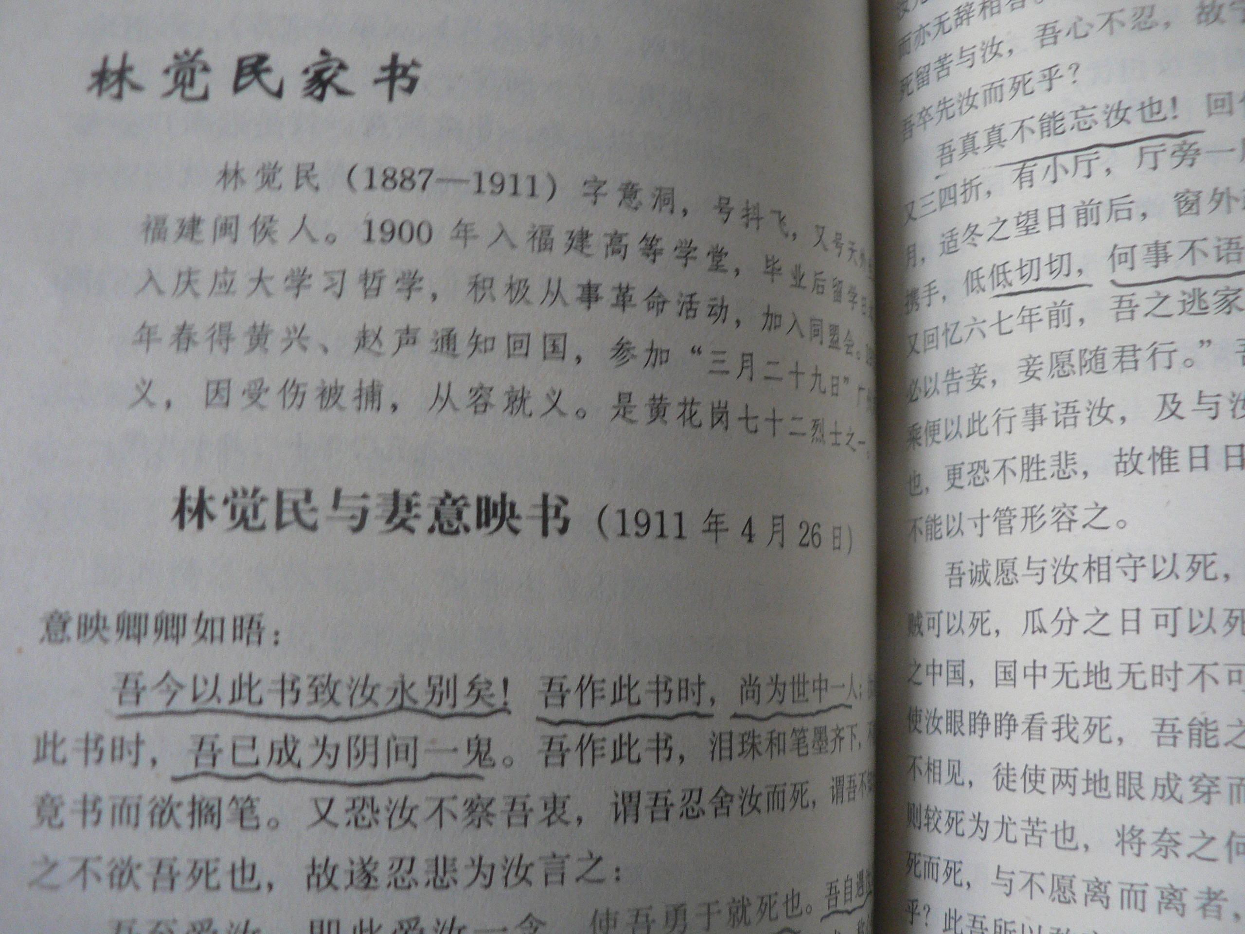 革命先烈林觉民遗书,林觉民给父亲的遗书