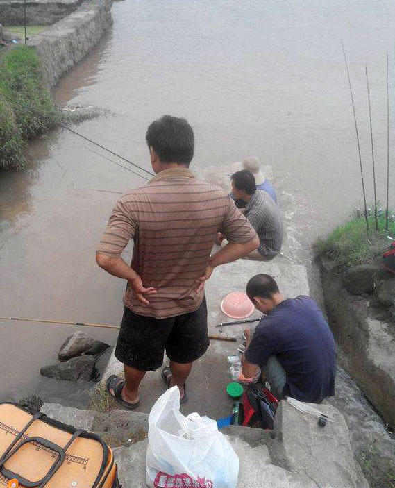 江边手竿赤眼鱼怎么钓,赤江钓鱼