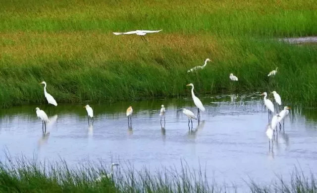 好消息！黄金周火车票明起开卖、这些家庭租房有补贴、驾驶证省内异地申领，还有超多假期！