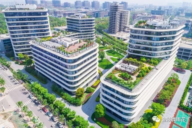 智领未来，“雨花软件”怒放创新名城