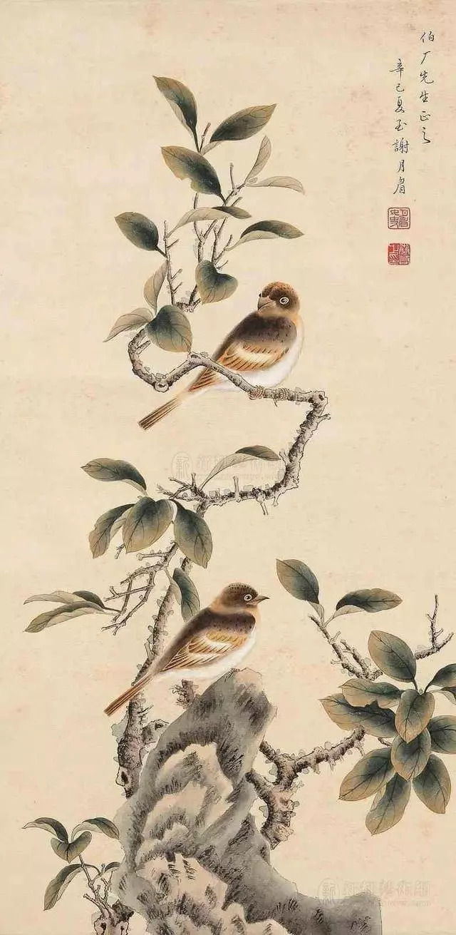 民国花鸟圣手大全,她凭自学成名堪称民国花鸟圣手