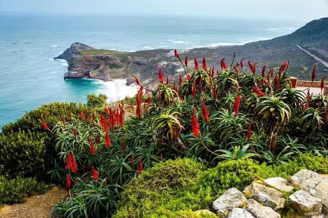 全球颜值最高的国家,盘点世界上最菜的国家