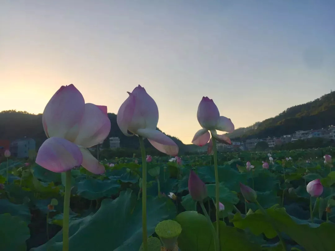 占地850亩！再等一个月，义乌人又多一个大型乐园耍了！