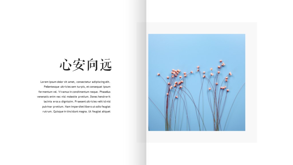 ppt翻书样式免费模板,翻书立体效果ppt模板