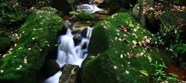 这些景点不花一分钱也可以玩遍,去哪里旅游既省钱而且又好玩