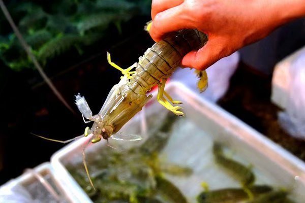 独行三亚，盘点三亚最美的美景和美食