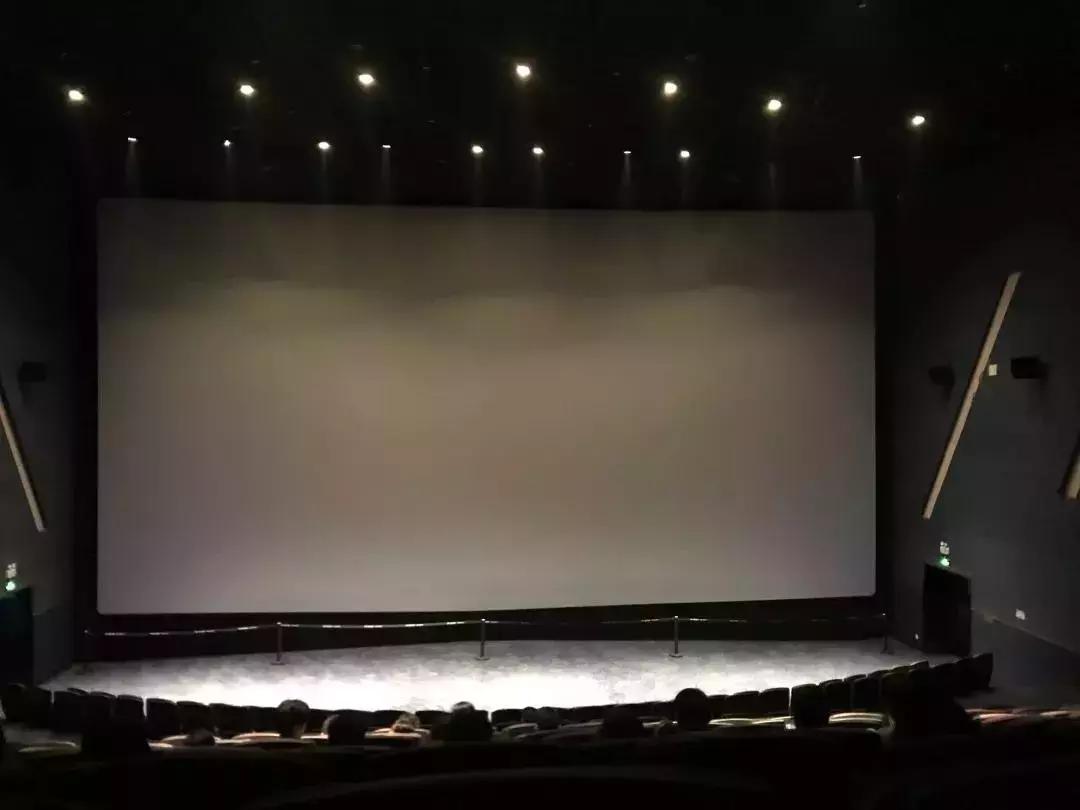 放假不做作业就看电视,放假不做作业要看的电影