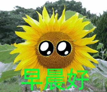 微信早上好动态表情图大全,微信早上好表情图片大全